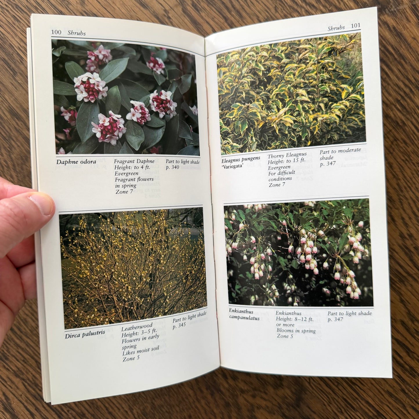 Taylor’s Guides to Gardening Set of 10 | Houghton Mifflin 1986–1996 | Bulbs Roses Herbs Houseplants Garden Design | Vintage Gardening Books