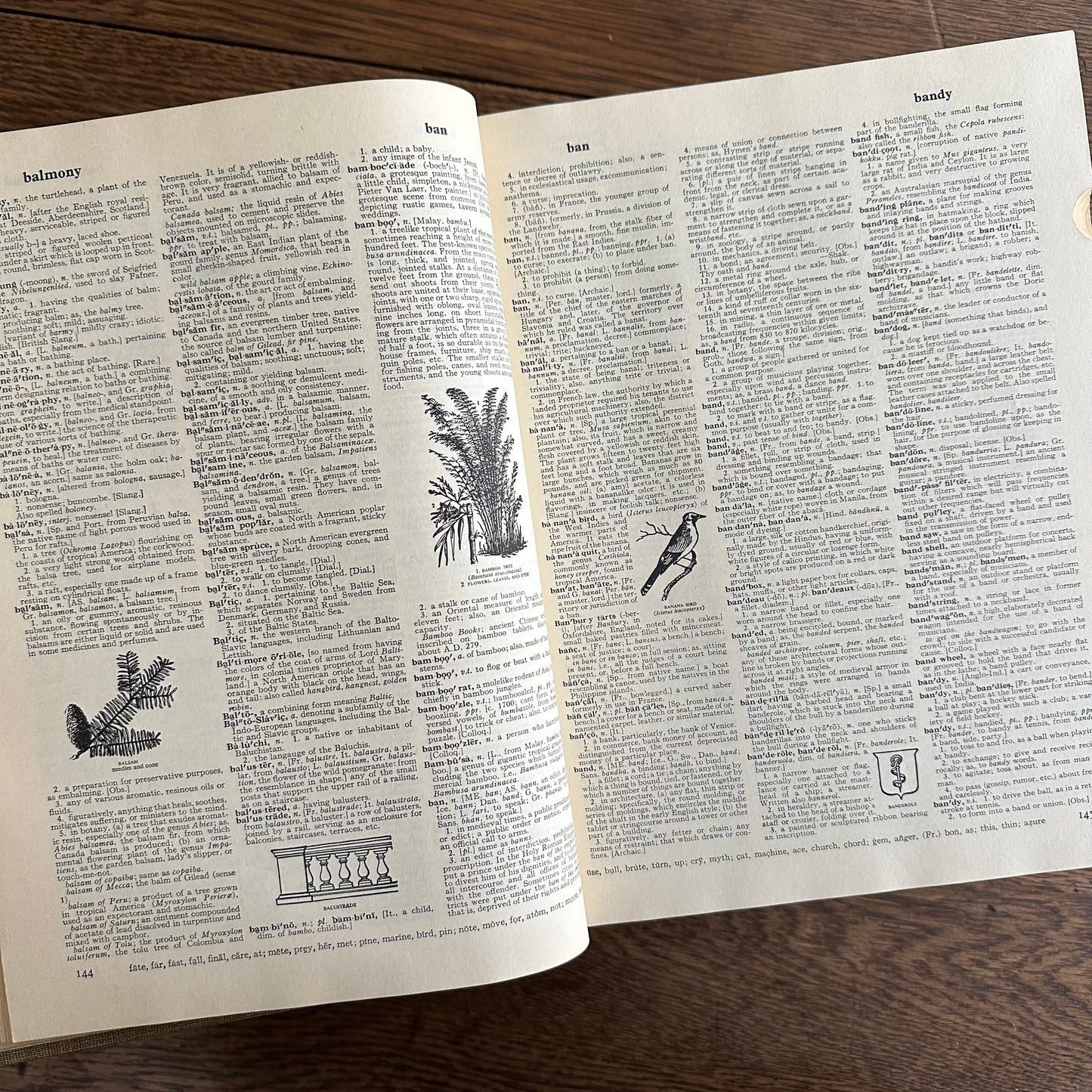 HUGE, Vintage Webster’s Dictionary, 1963