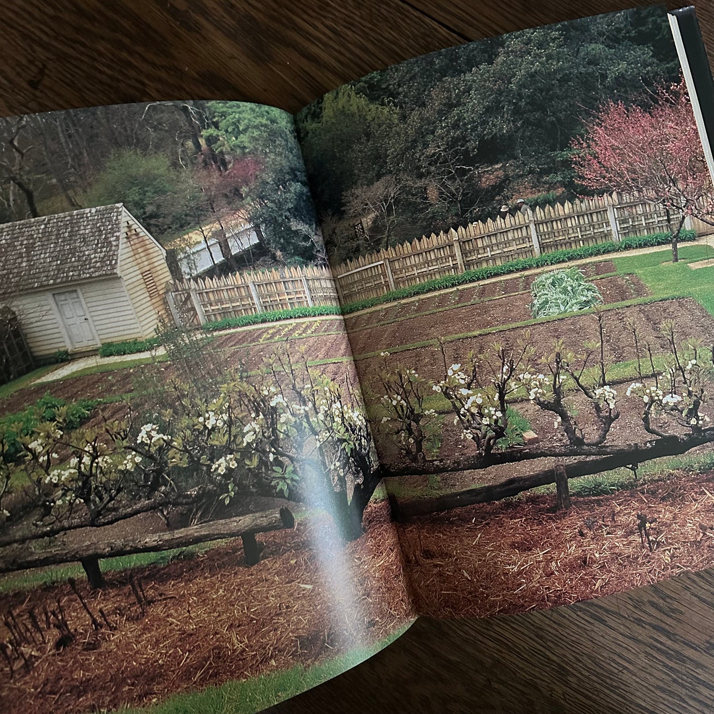 The Gardens of Colonial Williamsburg, 1996