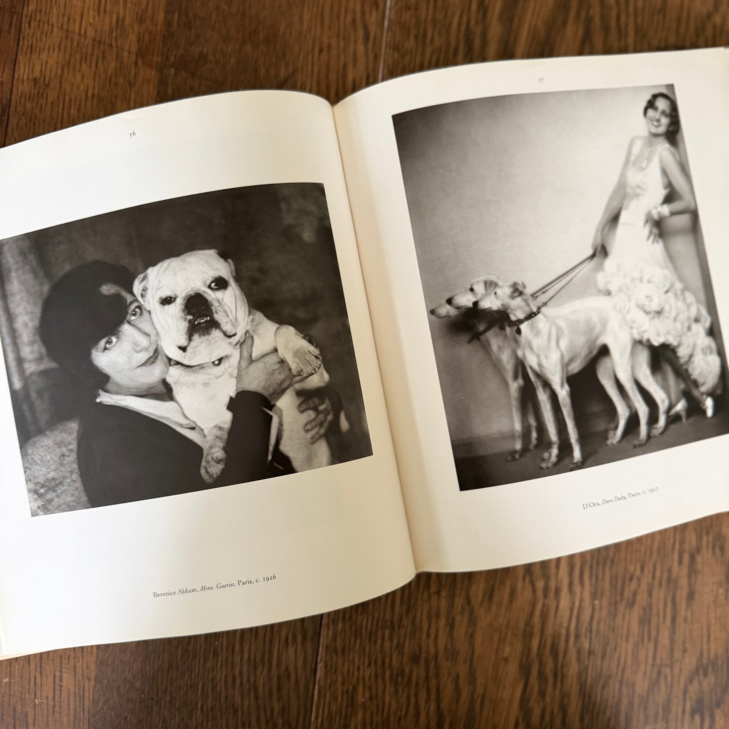 The Dog Observed: Photographs 1844-1983 by Ruth Silverman - Vintage Dog Photography Book