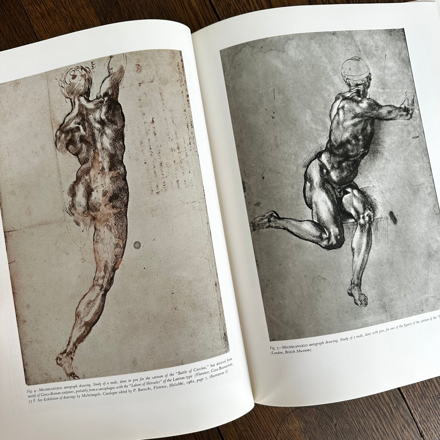 Michelangelo: The Painter by Valerio Mariani | Vintage 1964 Art Book | Harry N. Abrams Fine Art Monograph