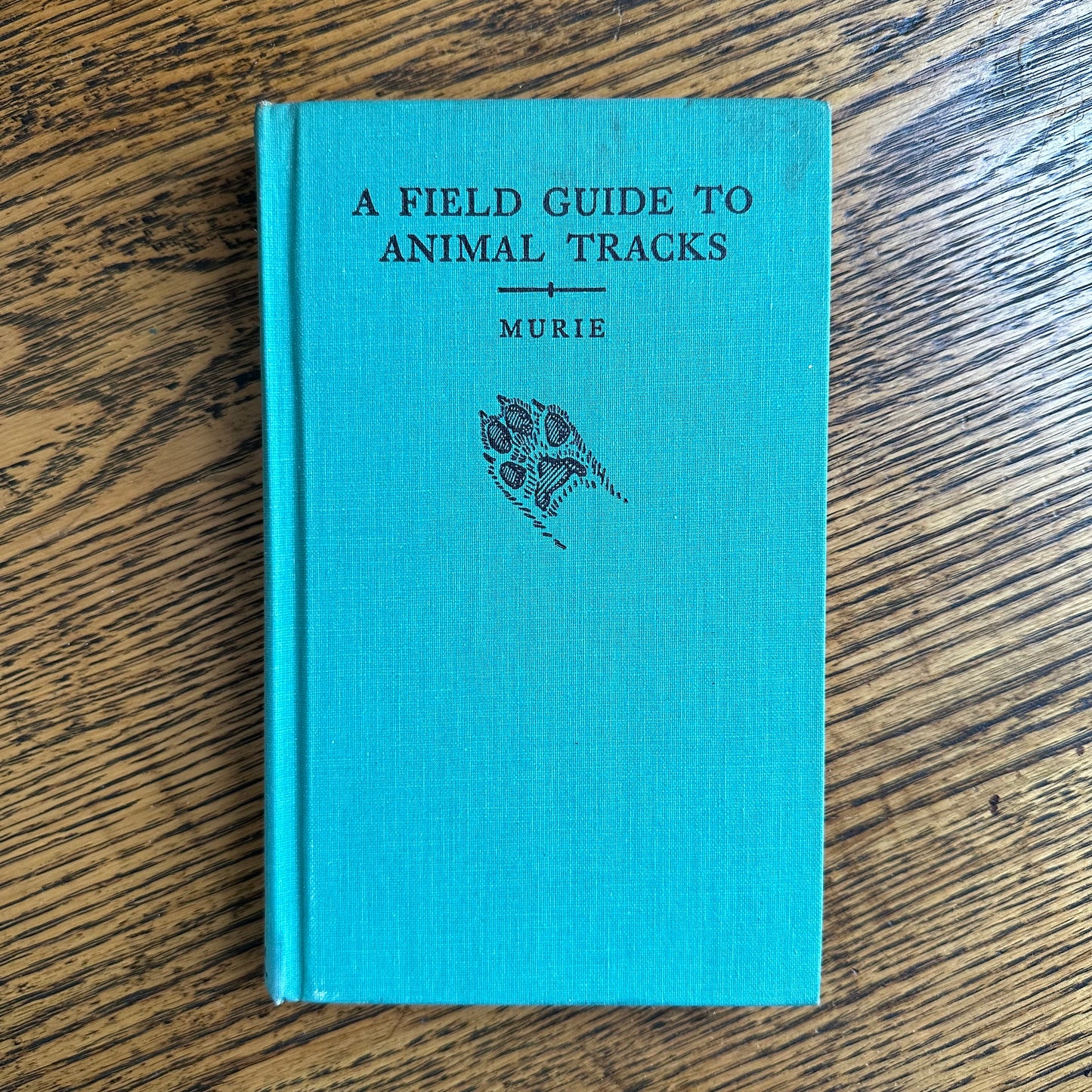 A Collection of 13 Vintage Peterson Field Guides!