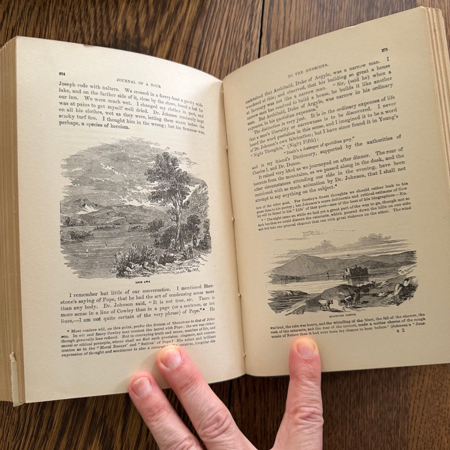 Antique Green Book Collection Set of 7 | Victorian Decorative Books | Boswell Johnson | Browning | Holmes | Euclid | 1881–1904
