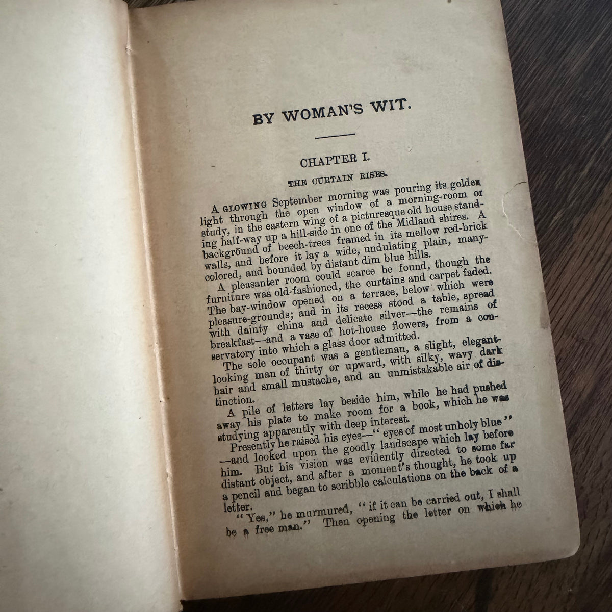8 Antique Books, Victorian Literature & Children’s Classics — 1874–1888+ | Stowe, Hugo, Abbott, Hood, Beecher & More | Pretty & Seasonal Brown & Red Bindings