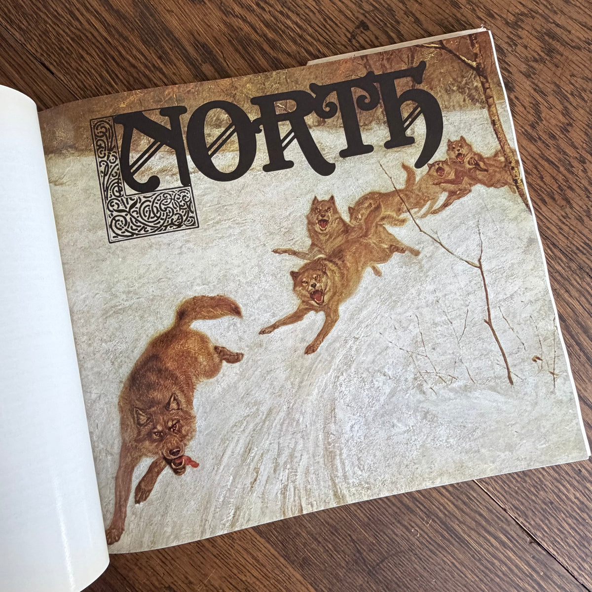 The Worlds of Ernest Thompson Seton -  1976 - First Edition - Edited by John G. Samson- Vintage Wildlife Art Nature Book