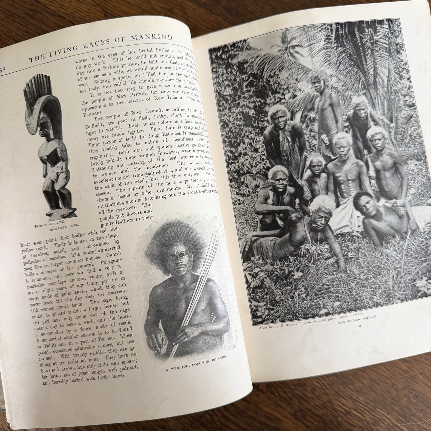 1908 Standard Library of Natural History Set | Antique Zoology Ethnography Books | Living Animals of the World | University Society NY