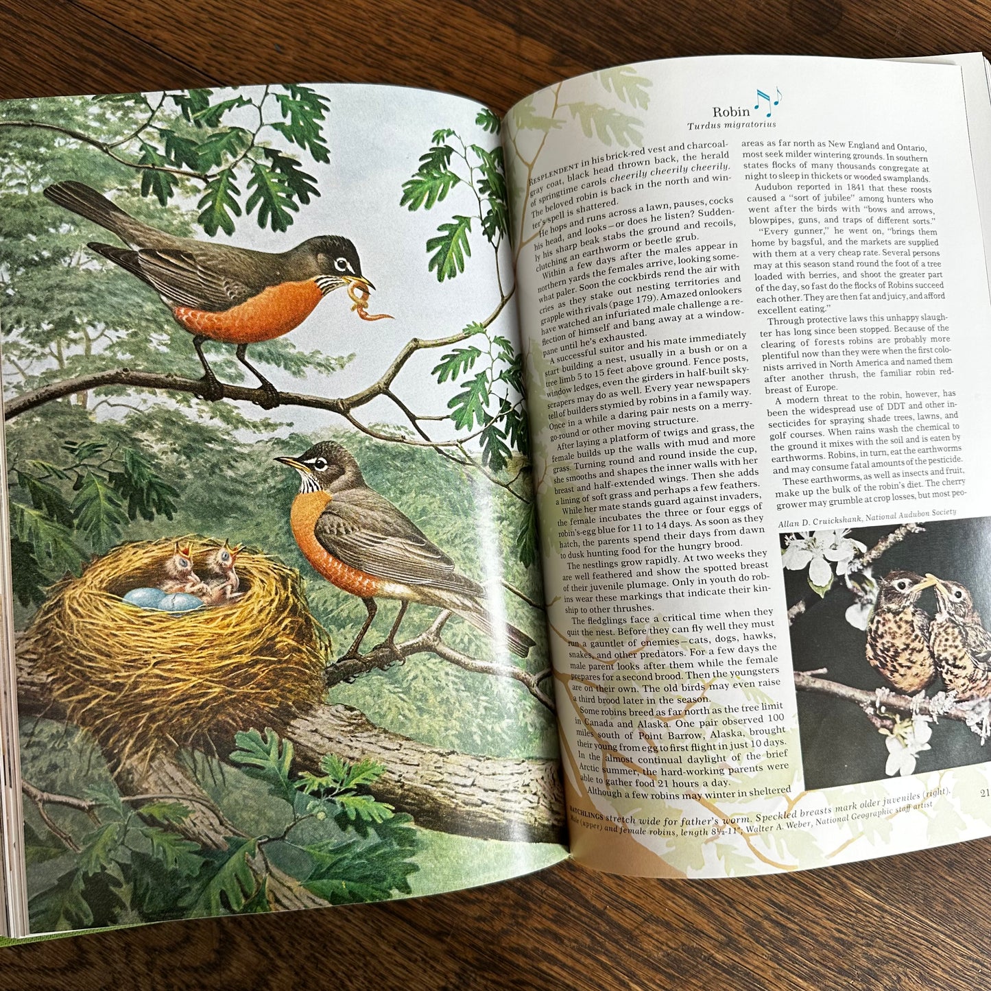Vintage 1964 Song and Garden Birds of North America – National Geographic Society – Alexander Wetmore – Illustrated Bird Guide w/ Companion Booklet – Birdwatching Book