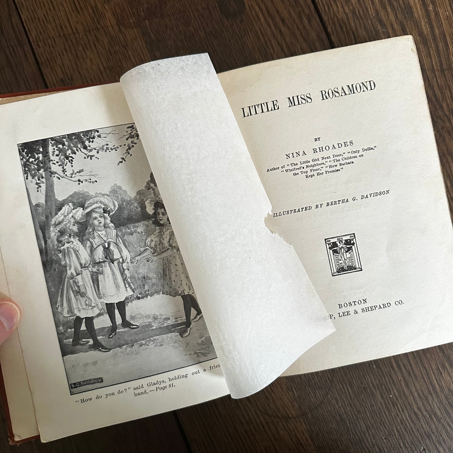 Set of 8 Nina Rhoades Antique Children’s Books (1901–1914) — Illustrated by Bertha Davidson Hoxie — Lothrop Lee & Shepard — Brick House Series
