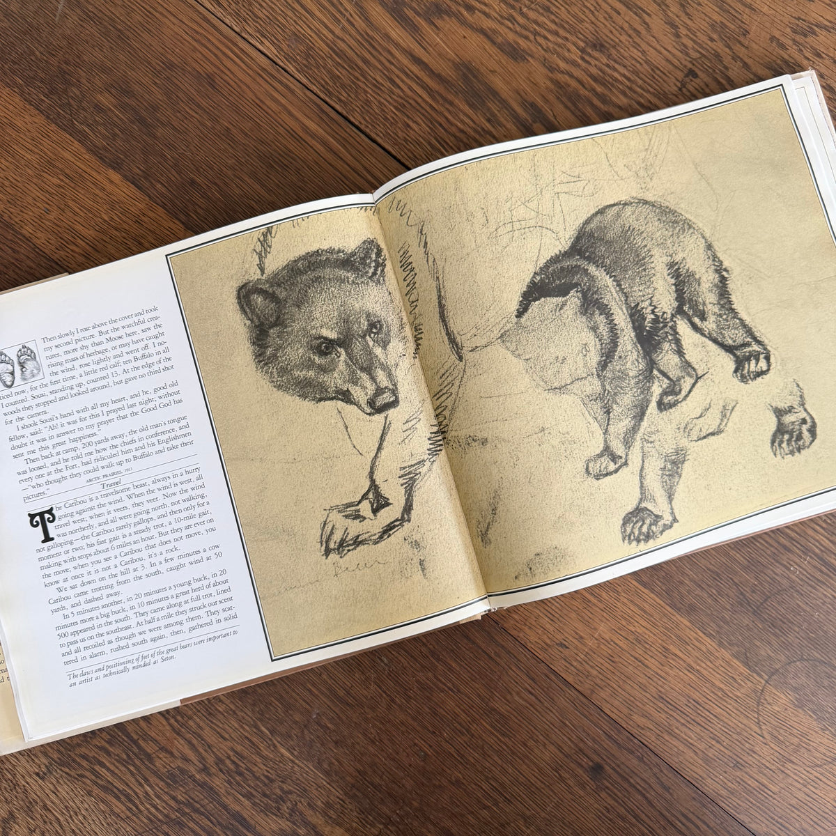 The Worlds of Ernest Thompson Seton -  1976 - First Edition - Edited by John G. Samson- Vintage Wildlife Art Nature Book