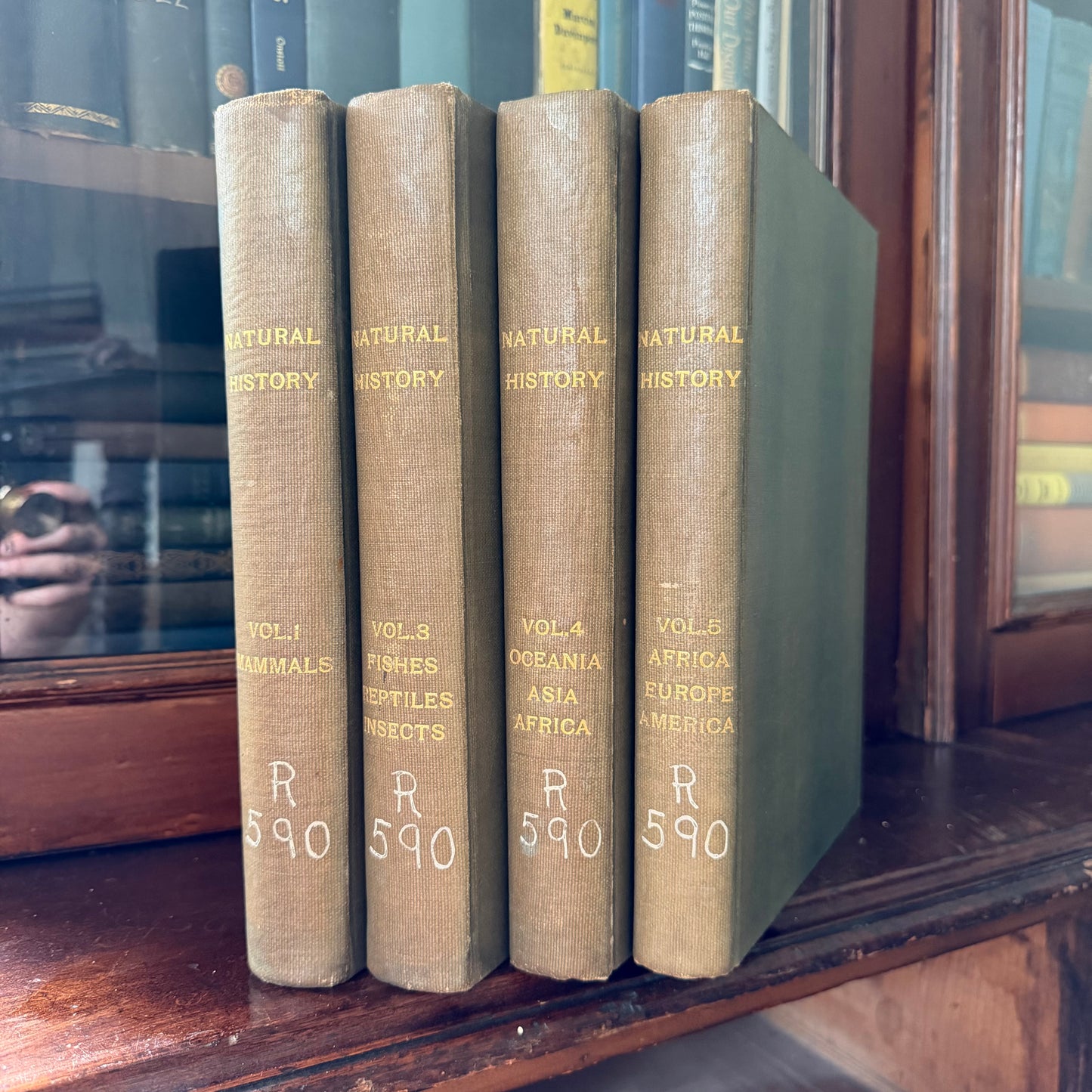 1908 Standard Library of Natural History Set | Antique Zoology Ethnography Books | Living Animals of the World | University Society NY