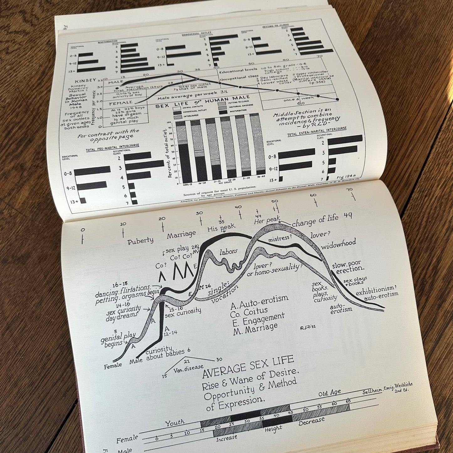 Human Sex Anatomy: A Topographical Hand Atlas, 1949