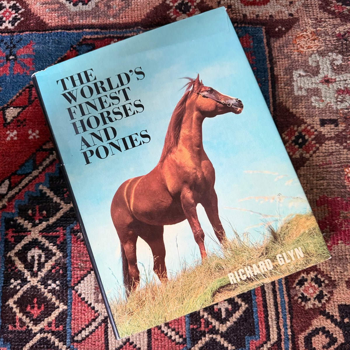 The World’s Finest Horses and Ponies - 1971 Vintage Coffee Table Book by Richard Glyn with Photos from Sally Anne Thompson