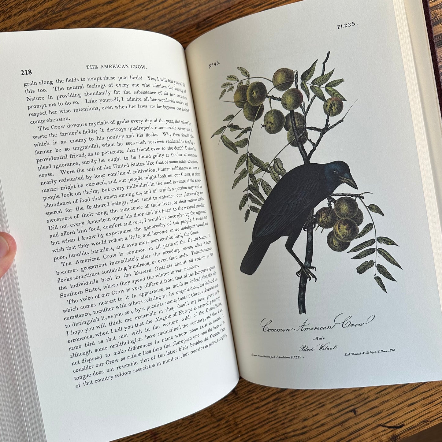Set of 2 Slipcovered Volair Limited Editions of John James Audubon’s Classics - 1977