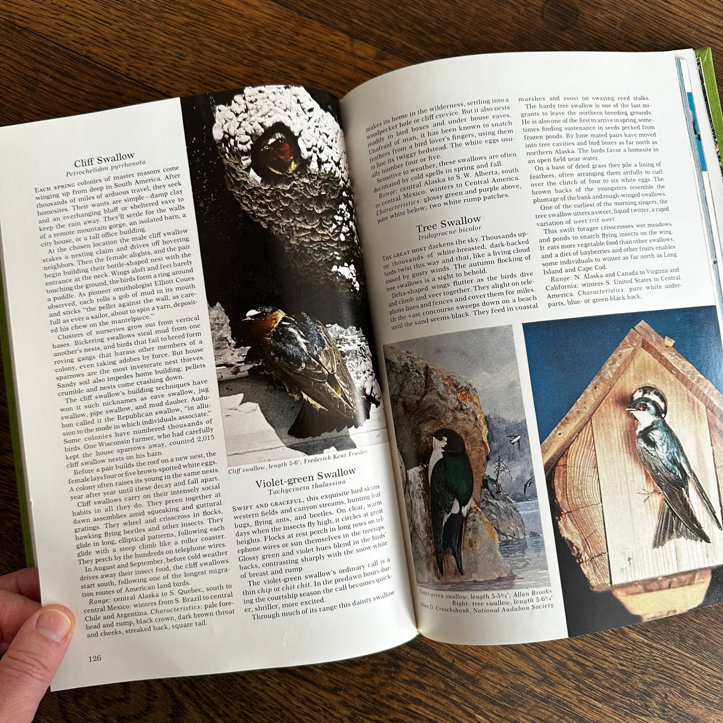 Vintage 1964 Song and Garden Birds of North America – National Geographic Society – Alexander Wetmore – Illustrated Bird Guide w/ Companion Booklet – Birdwatching Book