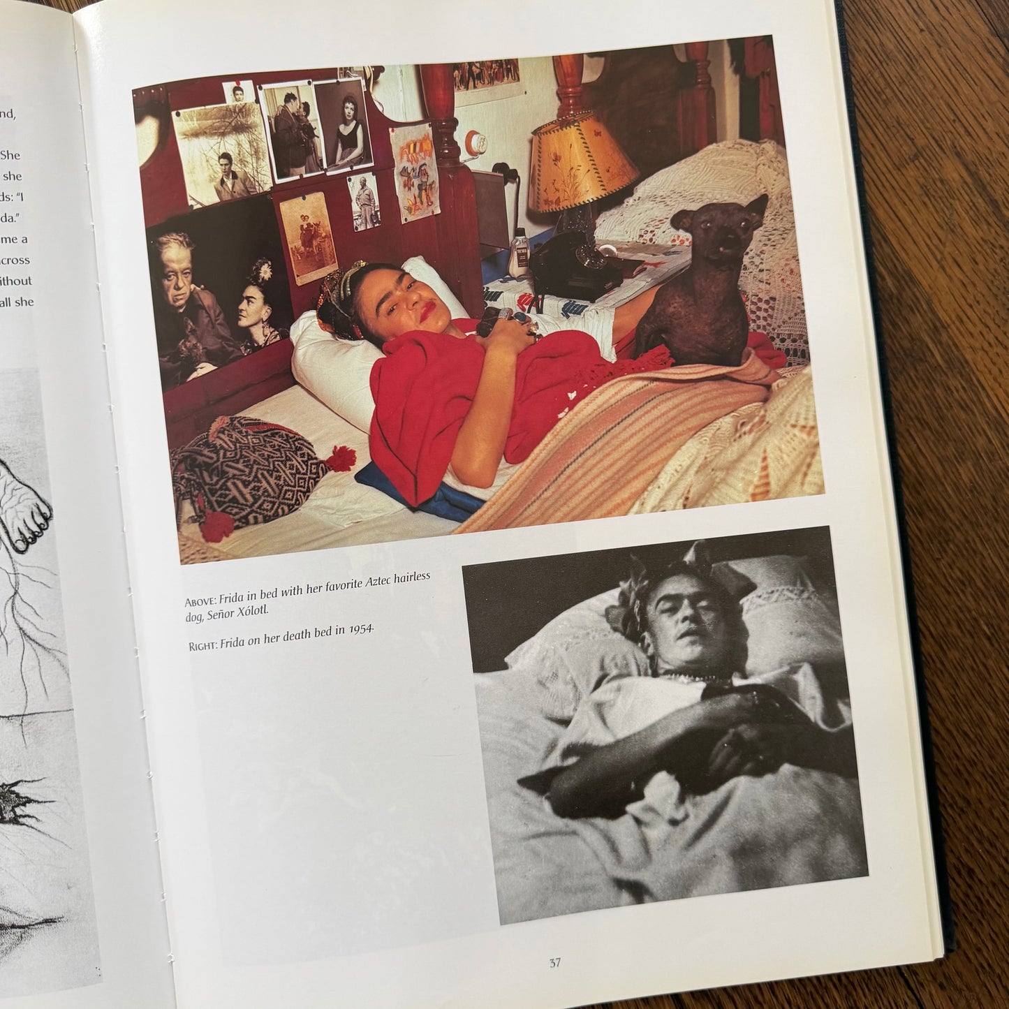Frida Kahlo by Salomon Grimberg | Oversized Art Book | Hardcover with Dust Jacket | 2004 | Mexican Artist Biography | Illustrated
