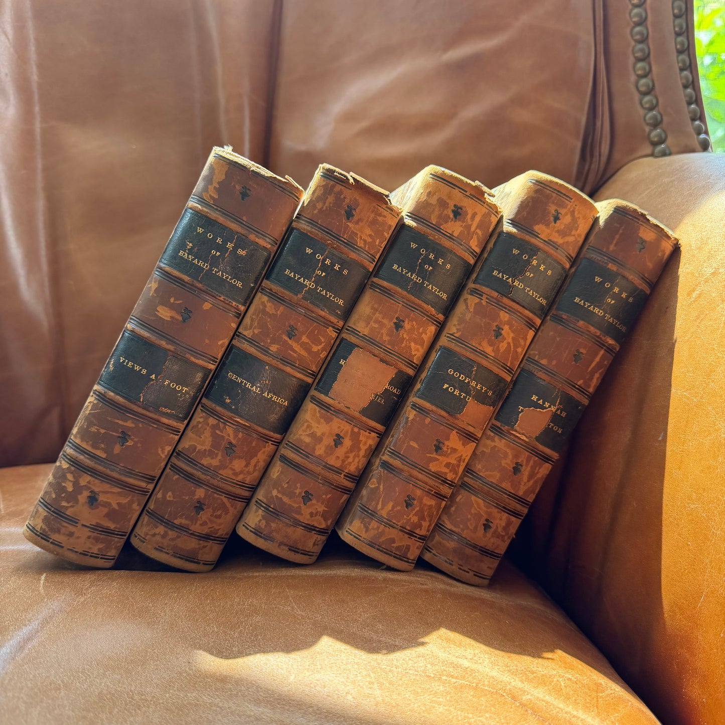 19th Century World Travel!  Prose Writings of Bayard Taylor - Set of 5, 1865-1868, G P Putnam New York, Antique Books, Half Leather, Marbled Edges