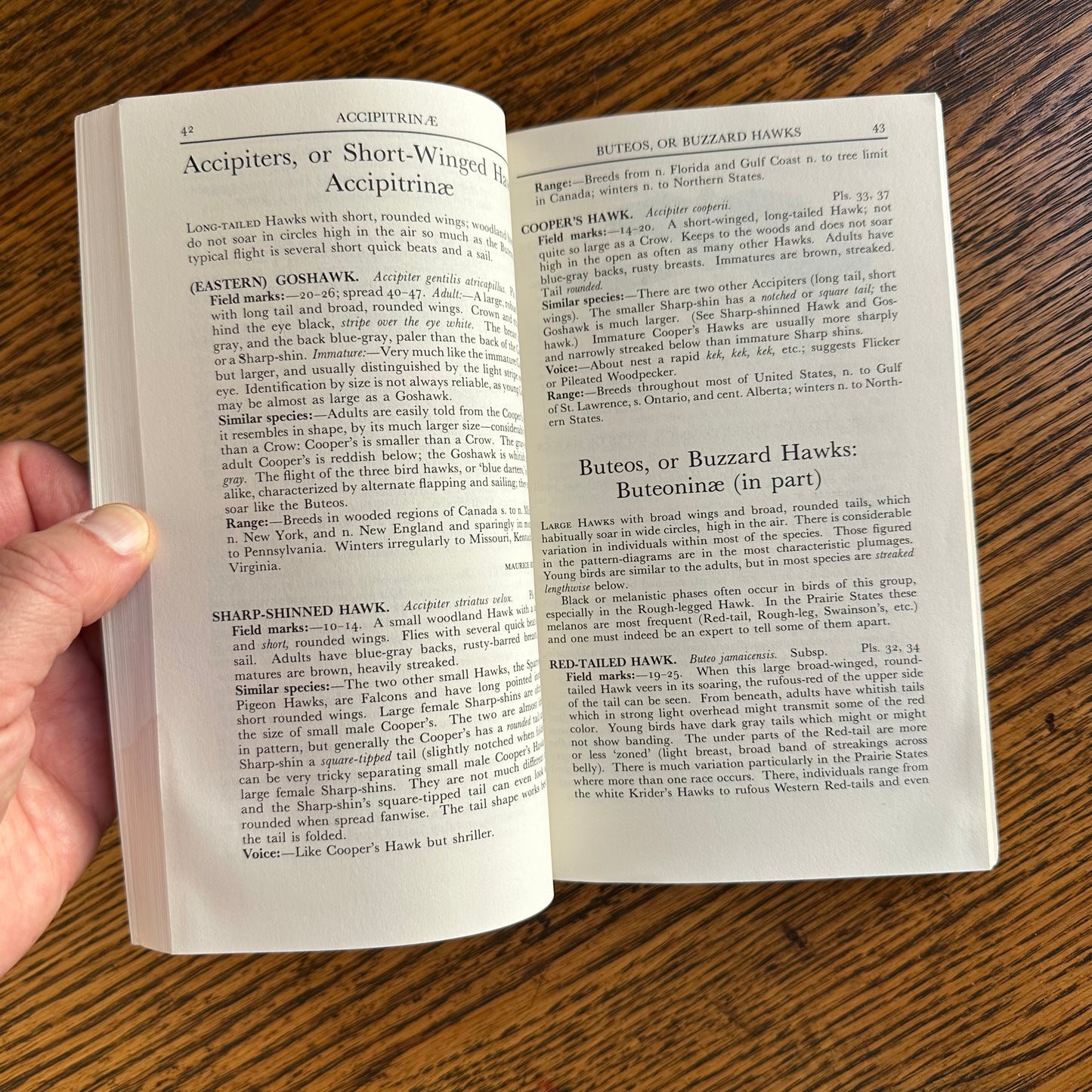 Set of 6 Vintage Peterson Field Guides | Softcover 1970s–80s Nature Books | Birds, Ferns, Wildflowers, Shells, Stars, Rocks