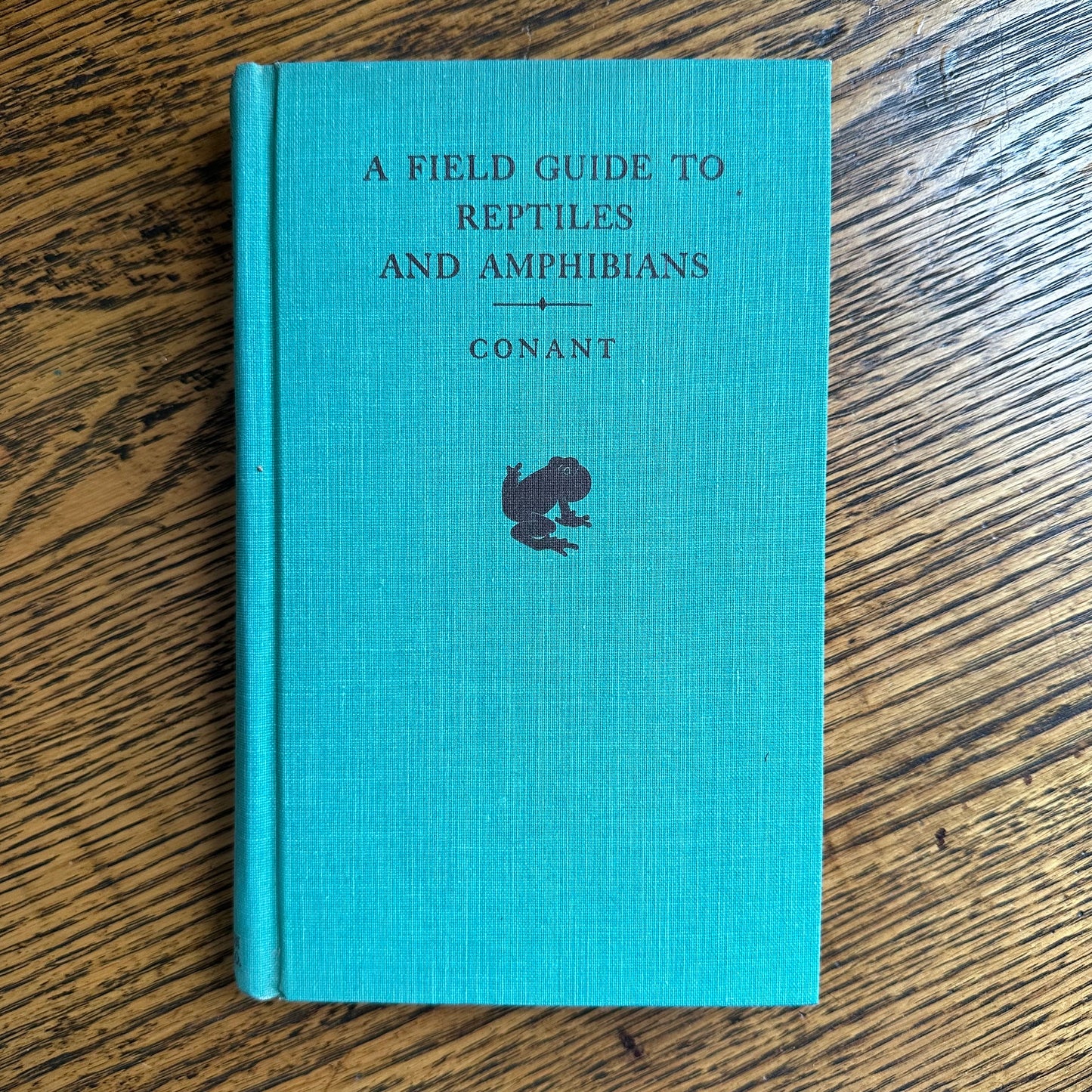 A Collection of 13 Vintage Peterson Field Guides!