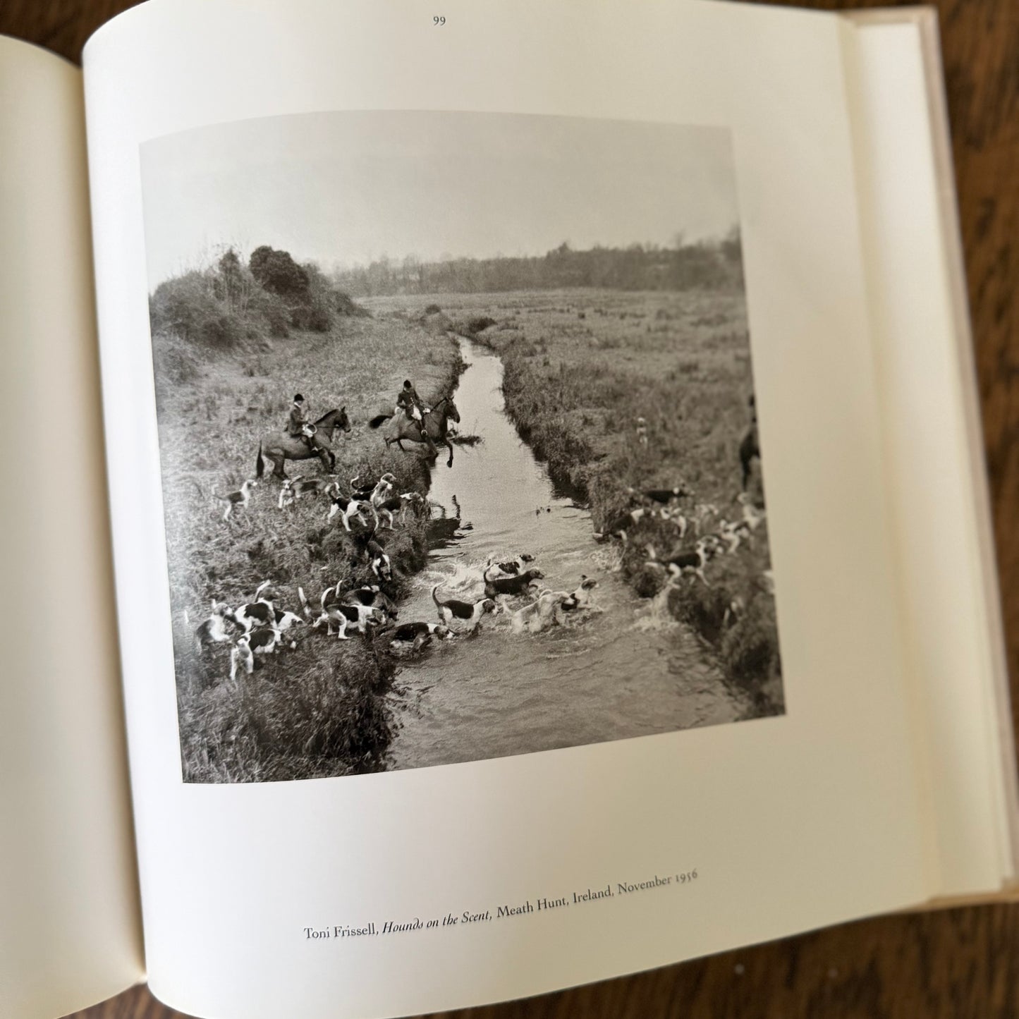 The Dog Observed: Photographs 1844-1983 by Ruth Silverman - Vintage Dog Photography Book