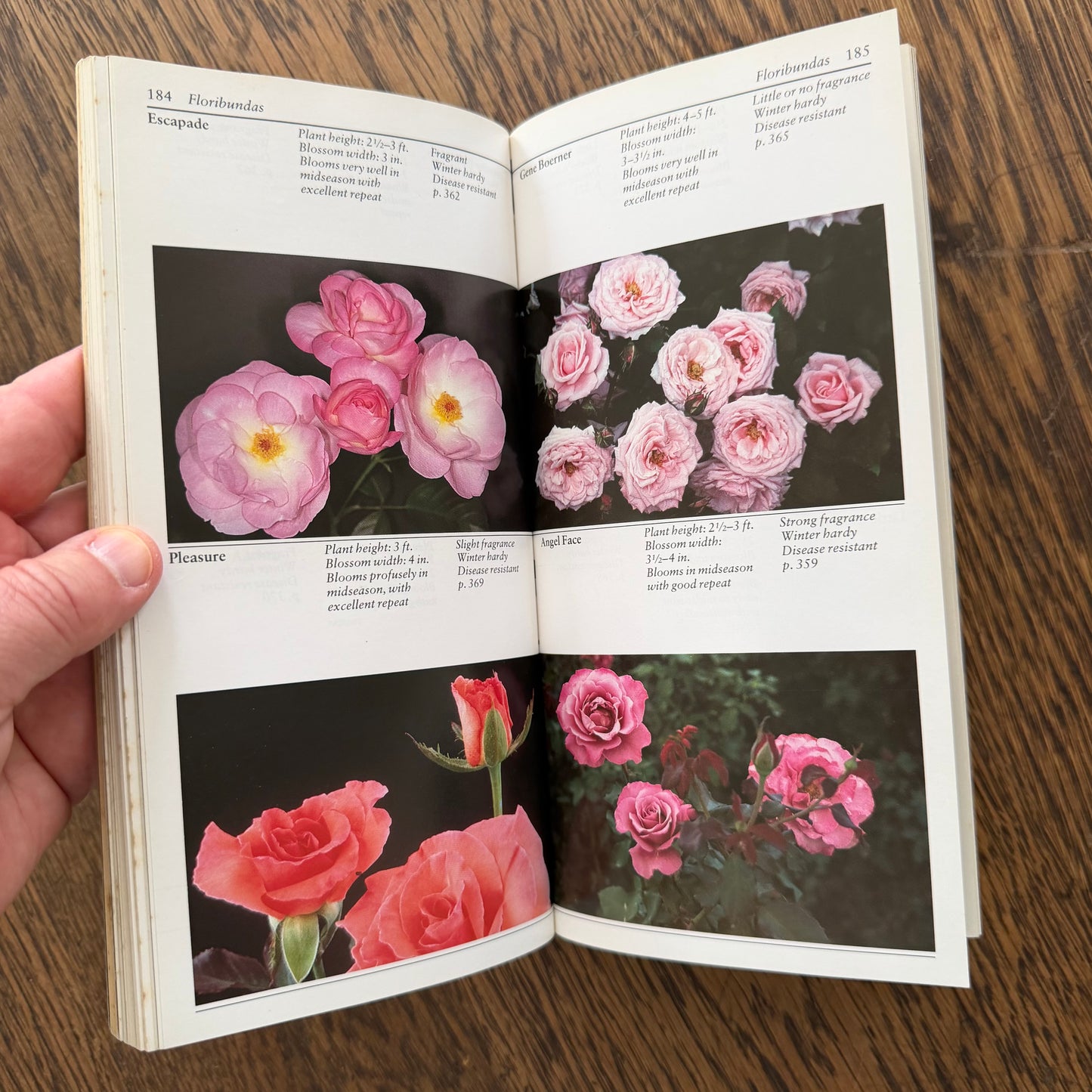 Taylor’s Guides to Gardening Set of 10 | Houghton Mifflin 1986–1996 | Bulbs Roses Herbs Houseplants Garden Design | Vintage Gardening Books