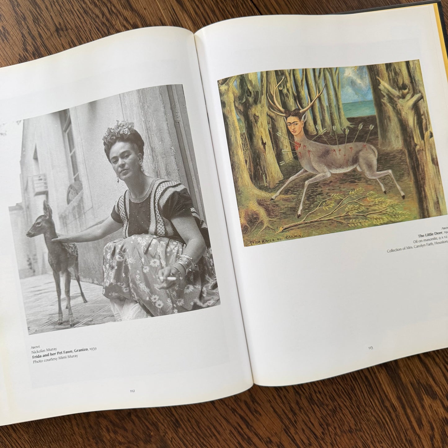 Frida Kahlo by Salomon Grimberg | Oversized Art Book | Hardcover with Dust Jacket | 2004 | Mexican Artist Biography | Illustrated