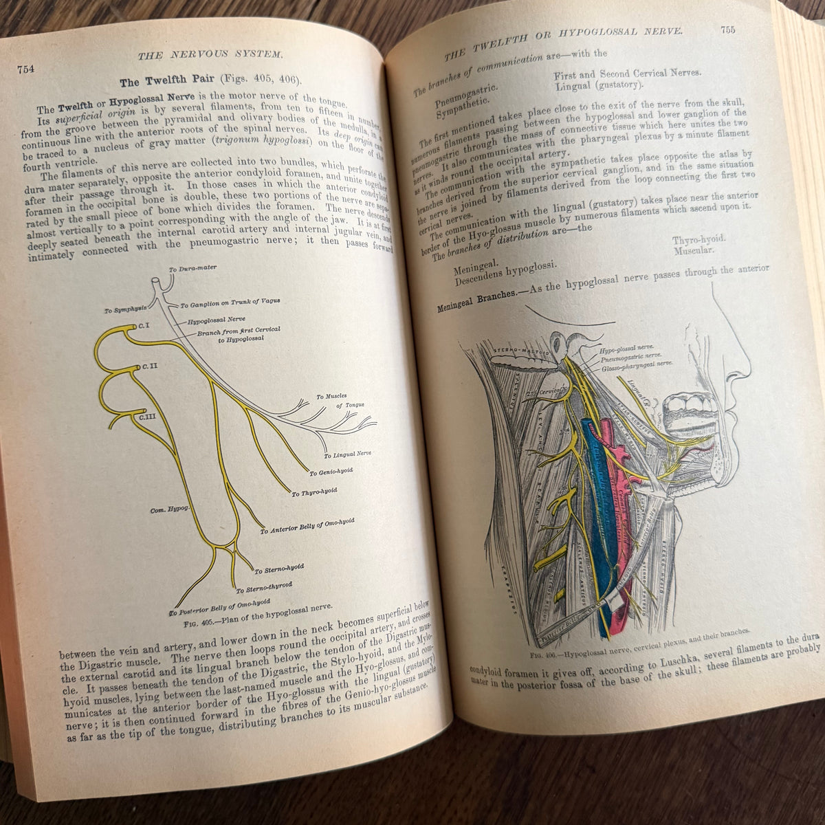 Gray’s Anatomy, 1977 Classic Collector’s Edition — Henry Gray, Descriptive & Surgical Anatomy | Bounty Books Hardcover, 780 Illustrations
