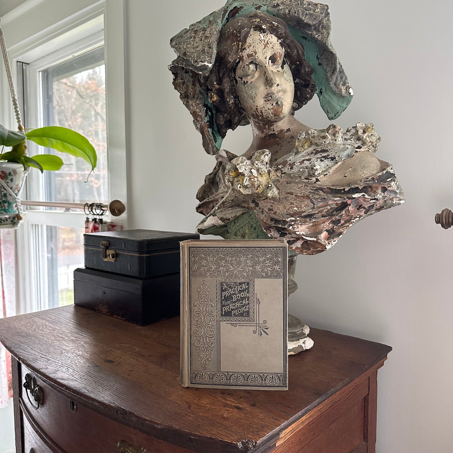 A Practical Book for Practical People - 1895