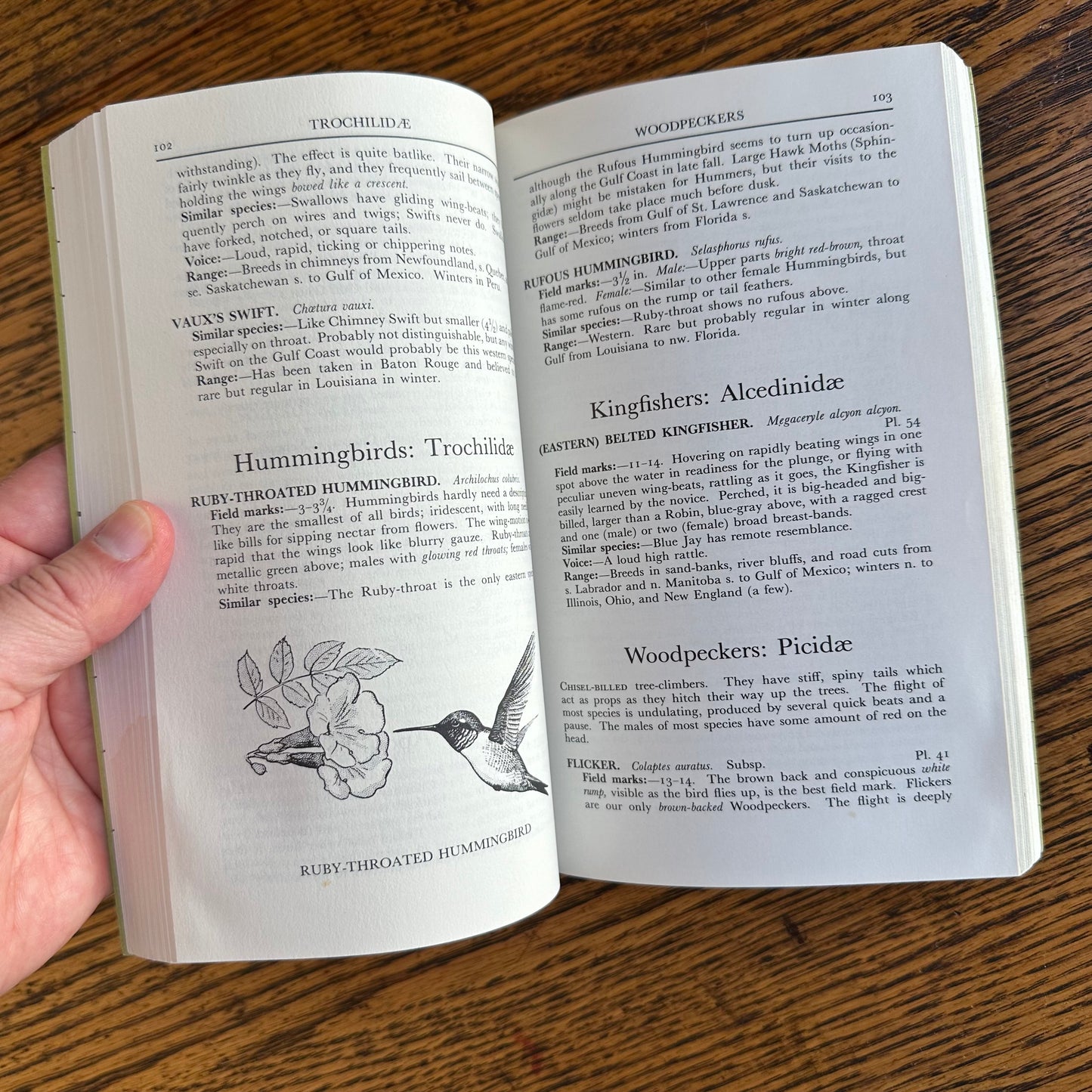 Set of 6 Vintage Peterson Field Guides | Softcover 1970s–80s Nature Books | Birds, Ferns, Wildflowers, Shells, Stars, Rocks