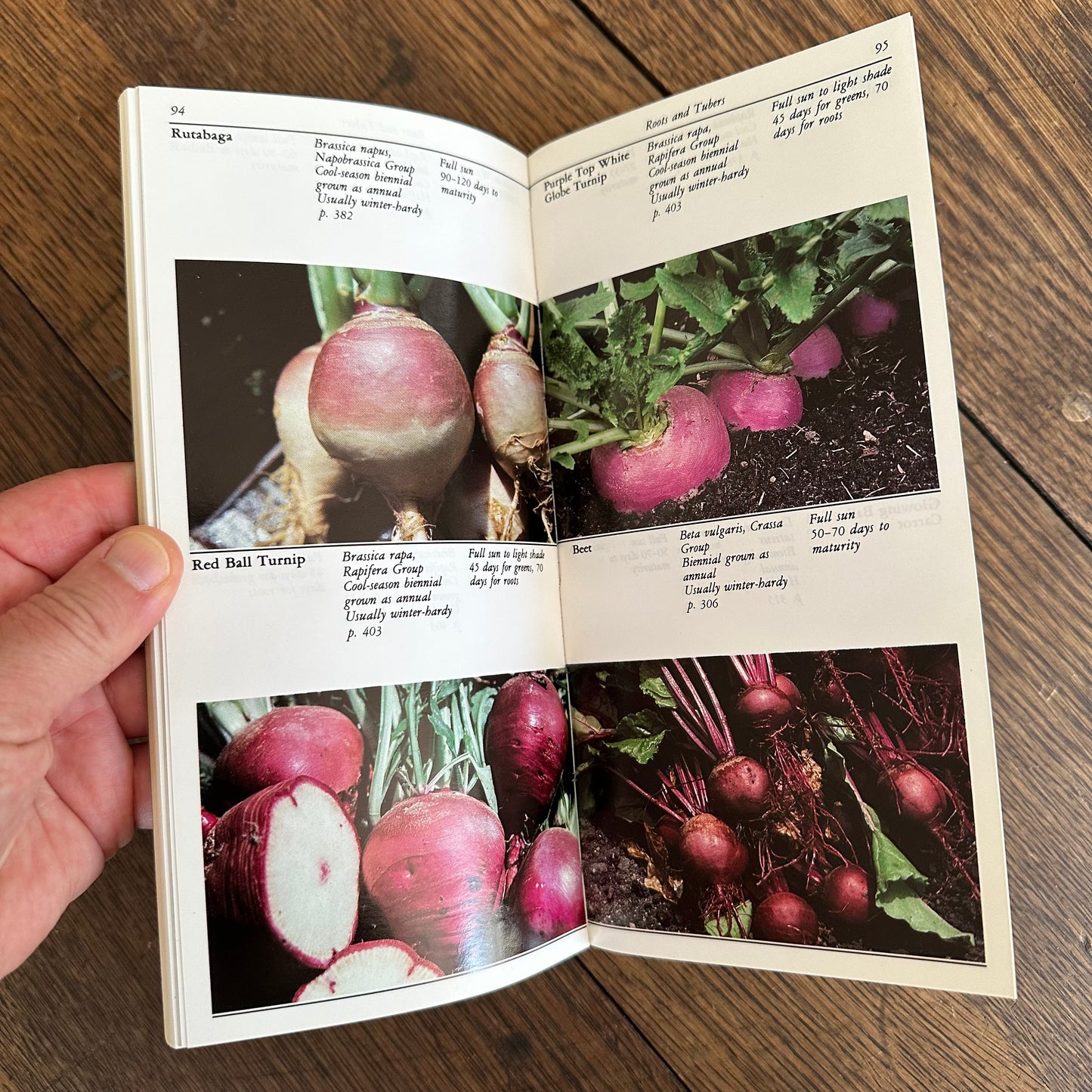 A Set of 7 Vintage Taylor’s Garden Guides!