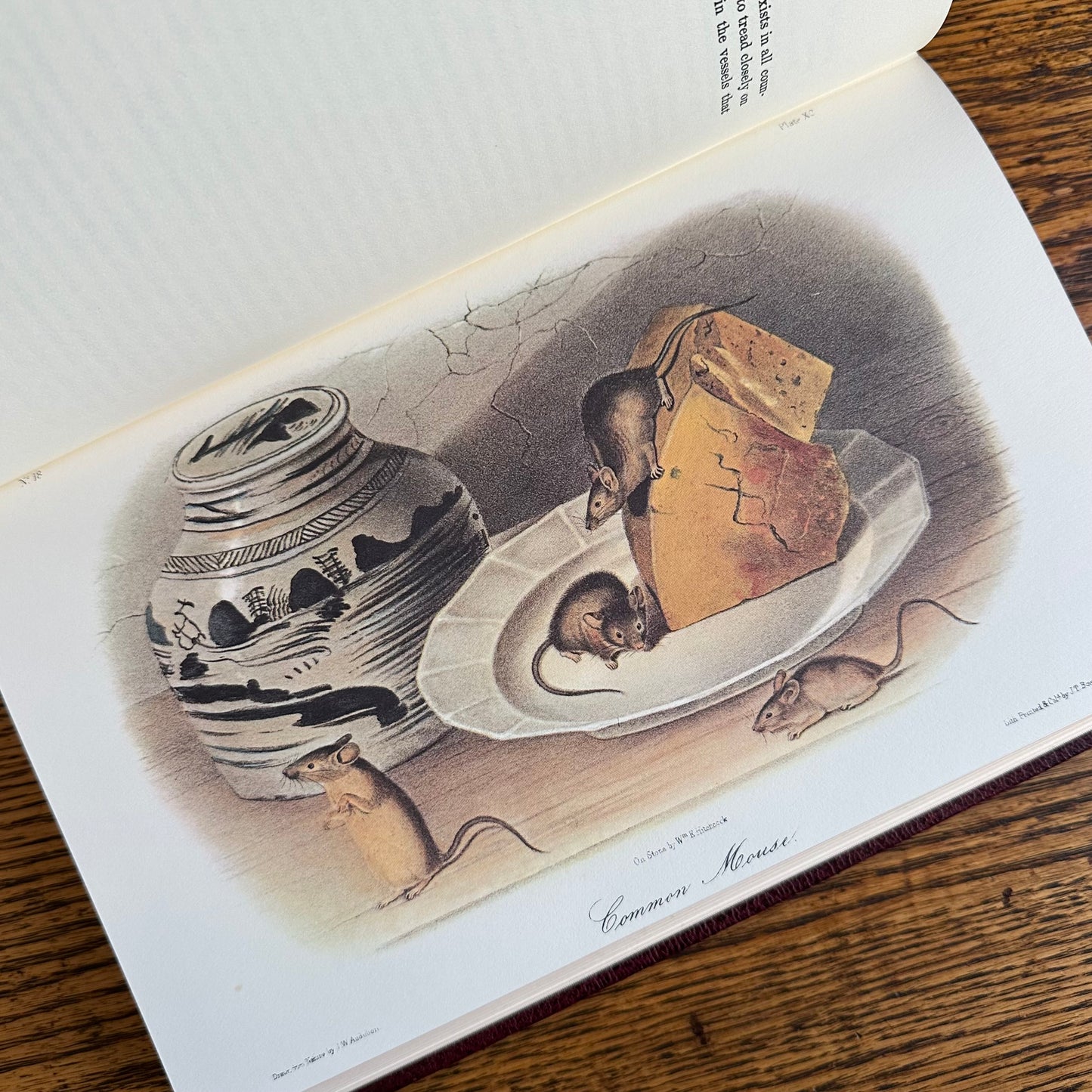 Set of 2 Slipcovered Volair Limited Editions of John James Audubon’s Classics - 1977