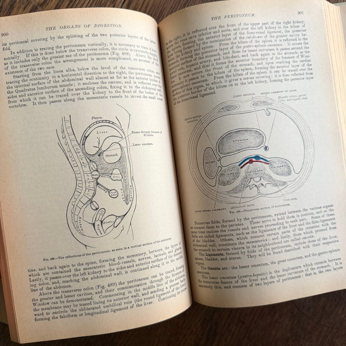 Gray’s Anatomy, 1977 Classic Collector’s Edition — Henry Gray, Descriptive & Surgical Anatomy | Bounty Books Hardcover, 780 Illustrations