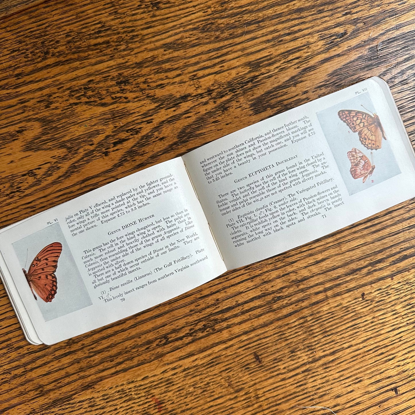 A Set of 3 Leather-Bound Pocket Nature Guides - 1916