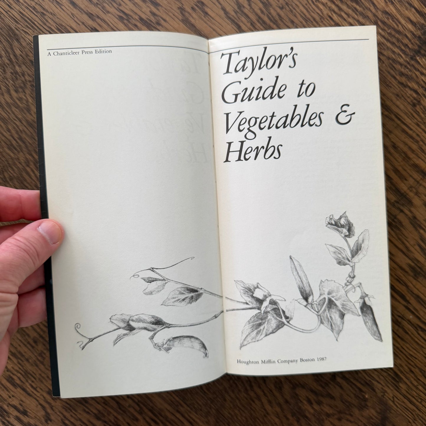 Taylor’s Guides to Gardening Set of 10 | Houghton Mifflin 1986–1996 | Bulbs Roses Herbs Houseplants Garden Design | Vintage Gardening Books