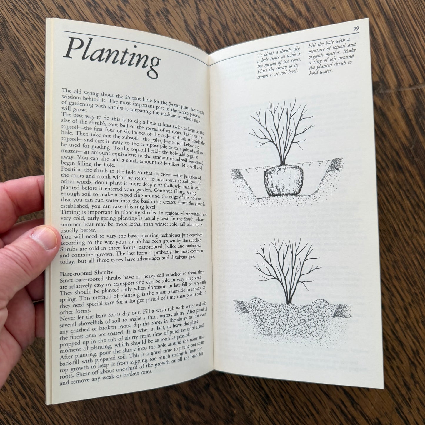 Taylor’s Guides to Gardening Set of 10 | Houghton Mifflin 1986–1996 | Bulbs Roses Herbs Houseplants Garden Design | Vintage Gardening Books