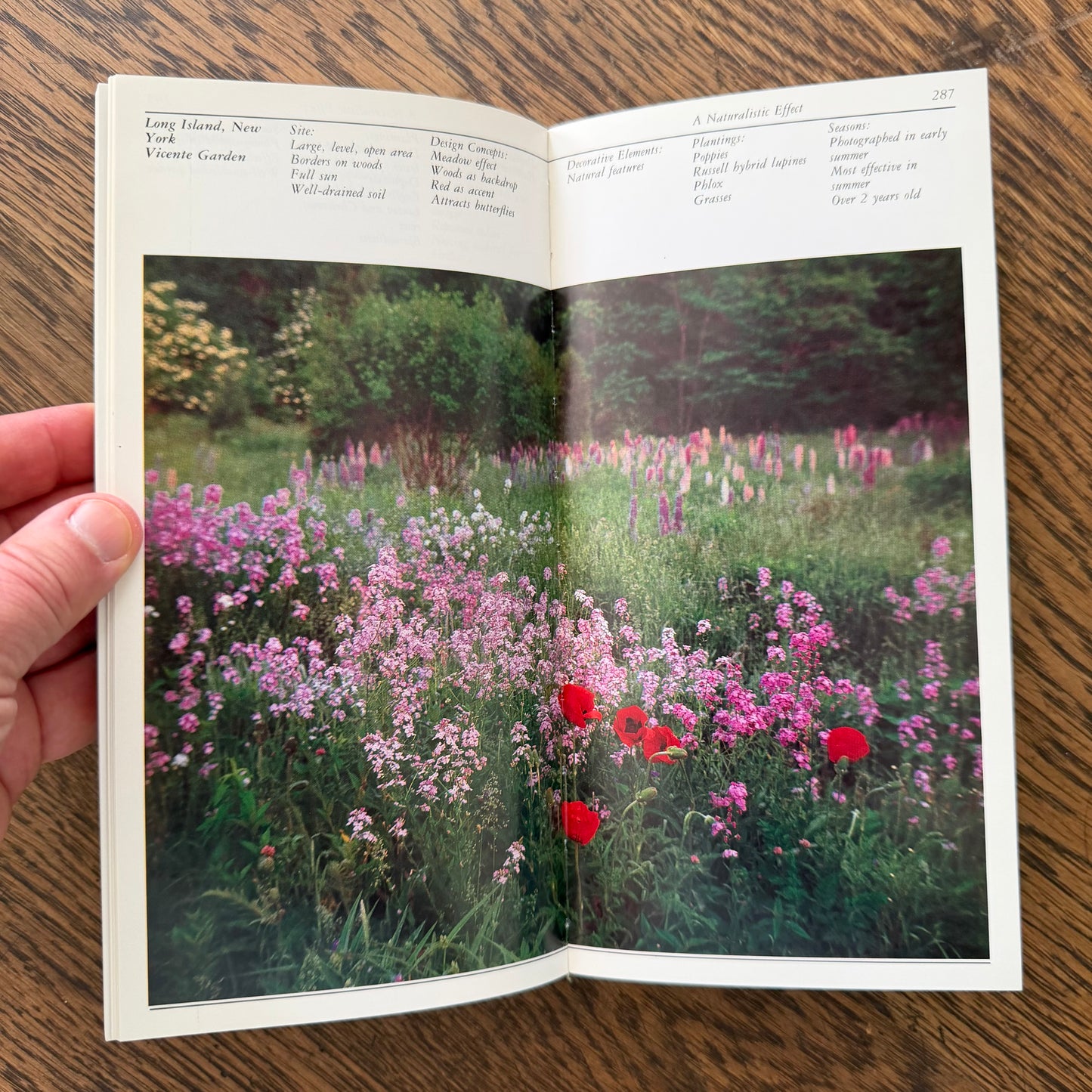 Taylor’s Guides to Gardening Set of 10 | Houghton Mifflin 1986–1996 | Bulbs Roses Herbs Houseplants Garden Design | Vintage Gardening Books