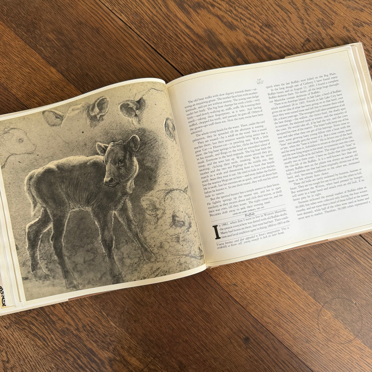The Worlds of Ernest Thompson Seton -  1976 - First Edition - Edited by John G. Samson- Vintage Wildlife Art Nature Book