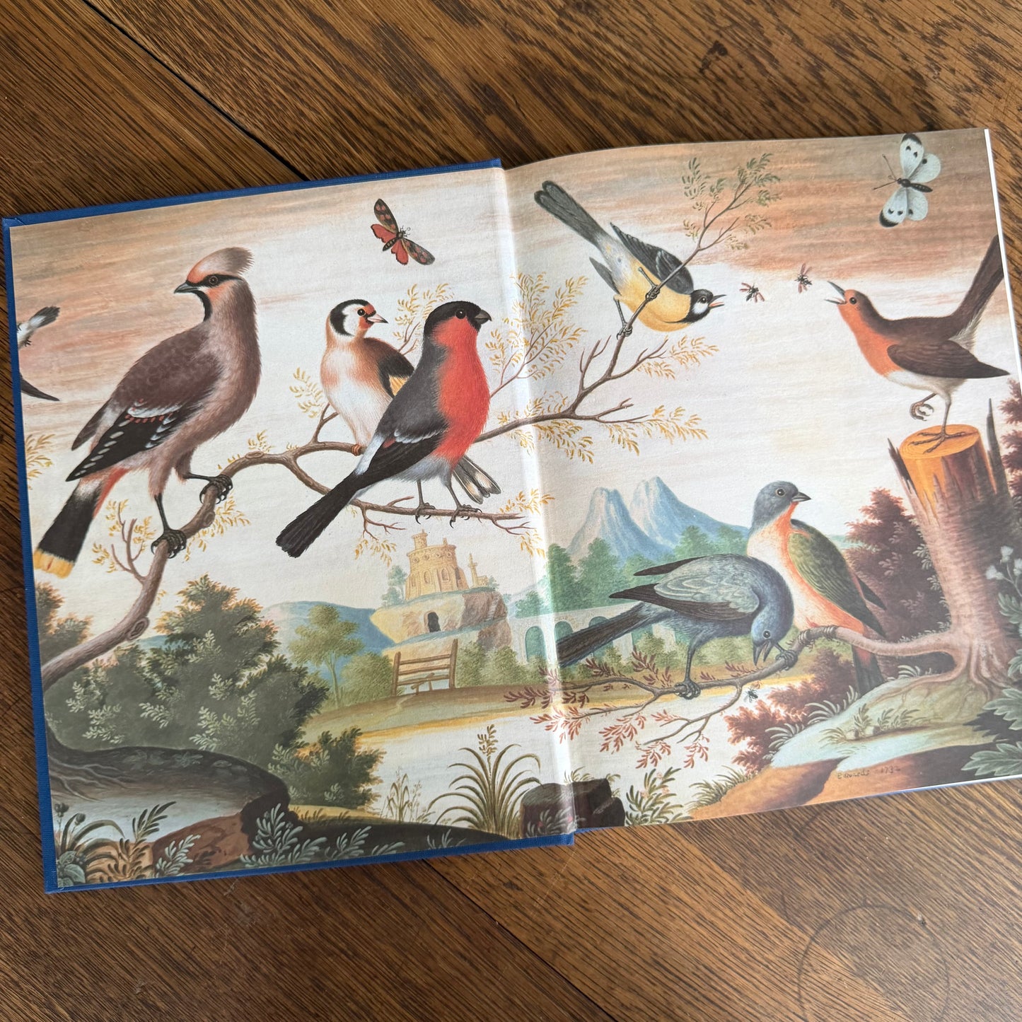 Bird Painting - The Eighteenth Century by Christine E Jackson, 1994: Antique Collectors Club, Vintage Coffee Table Book