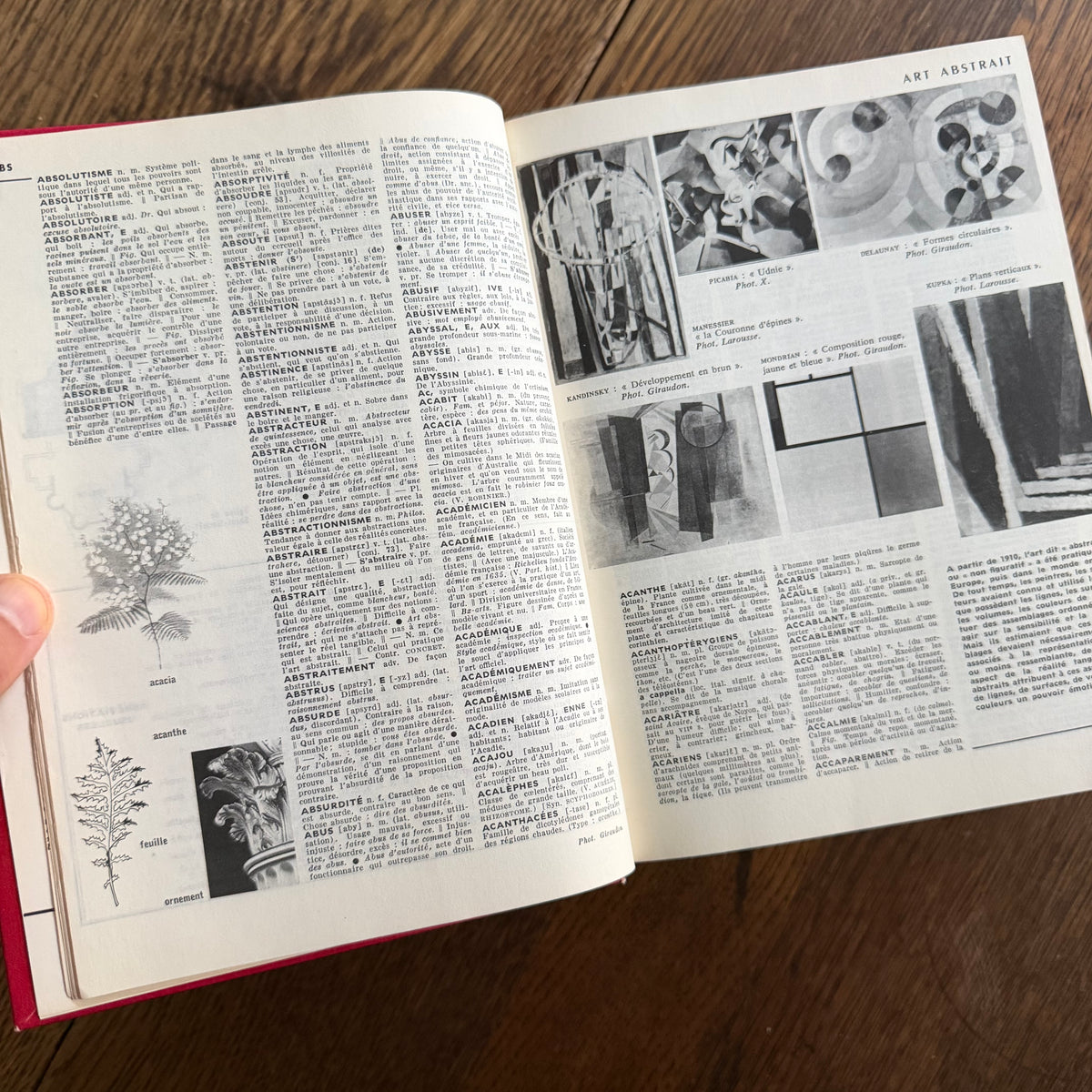 Petit Larousse Illustré, 1976 — French Encyclopedic Dictionary | 71,000 Articles, 5,535 Illustrations, Maps & Color Atlas | Librairie Larousse