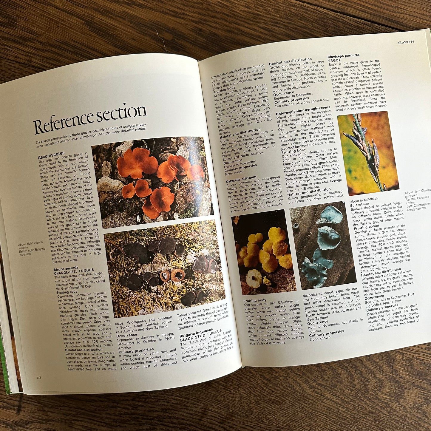 The Encyclopedia of Mushrooms, 1979