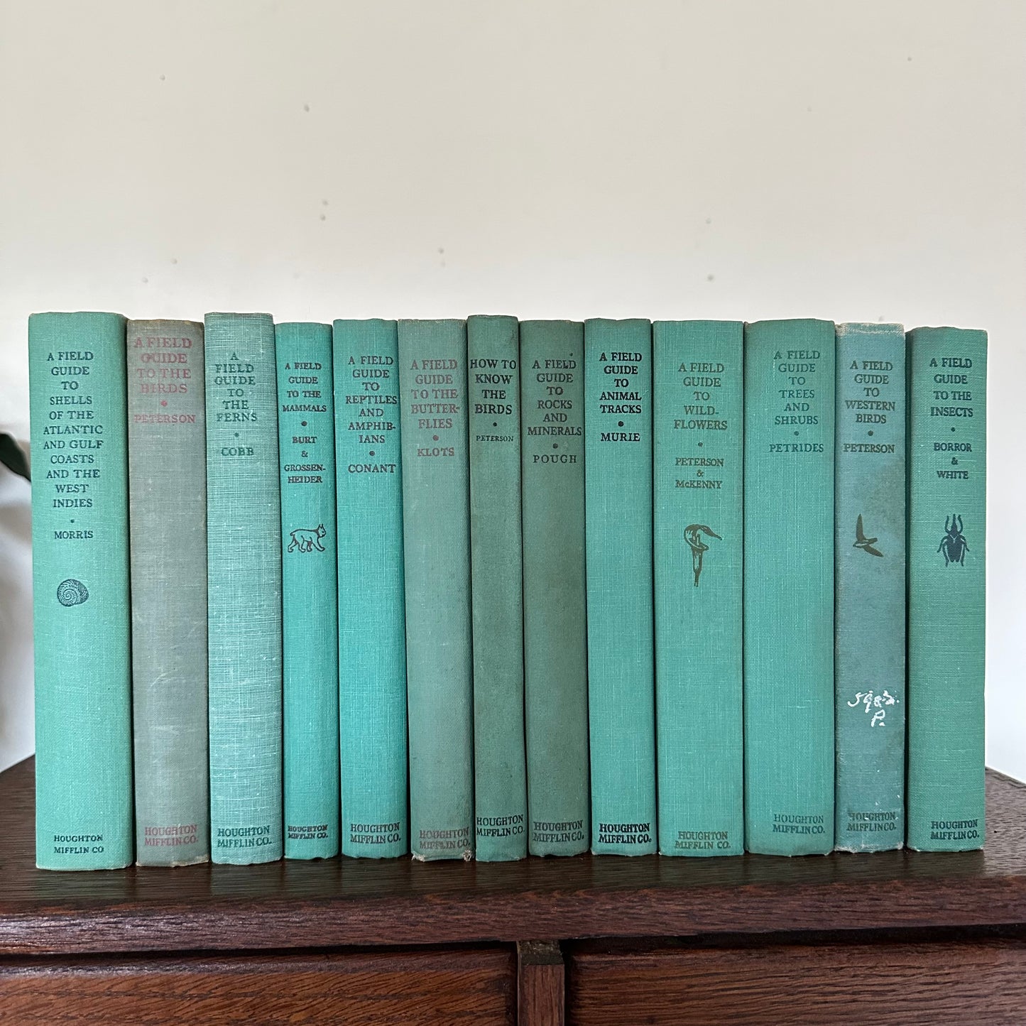 A Collection of 13 Vintage Peterson Field Guides!