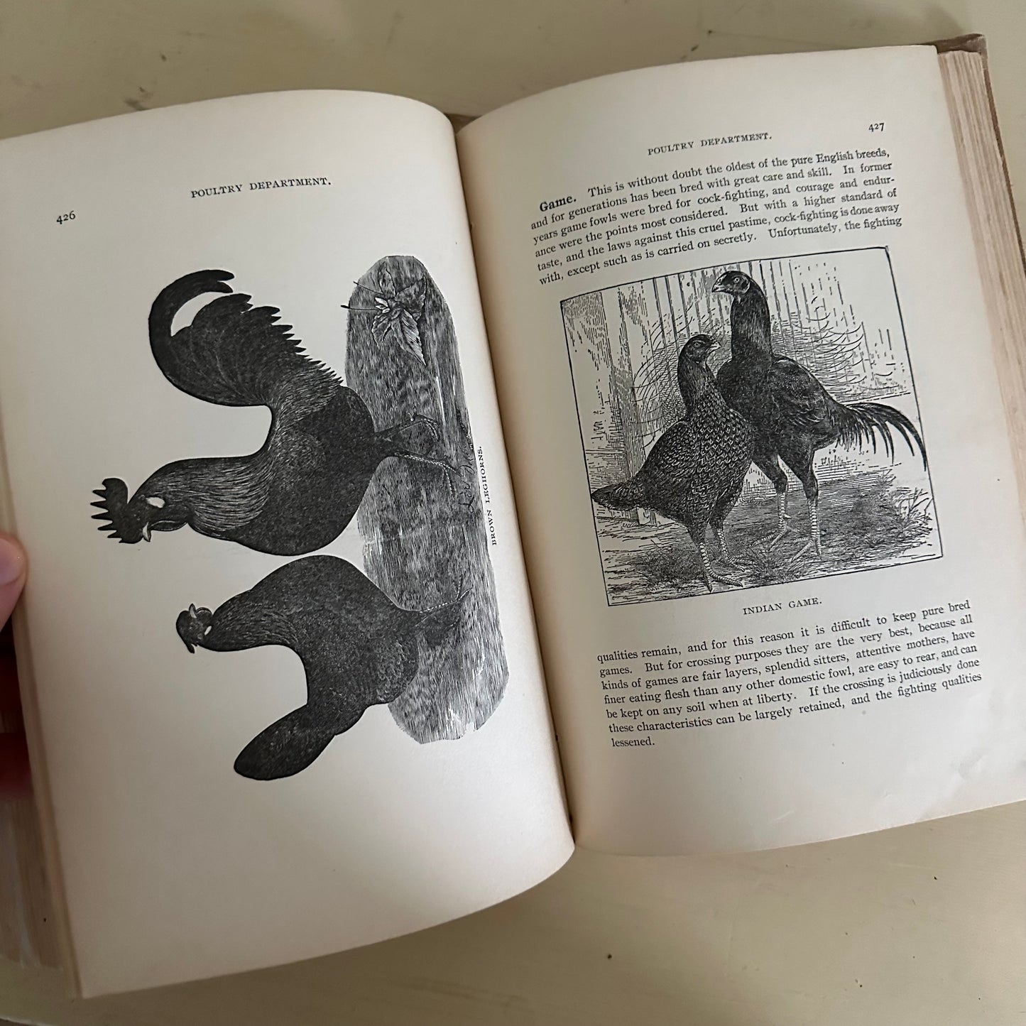 Hand-Book of Ready Reference for Farmers & Homesteaders - 1897