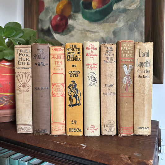 Antique Fiction Book Collection - 8 Titles