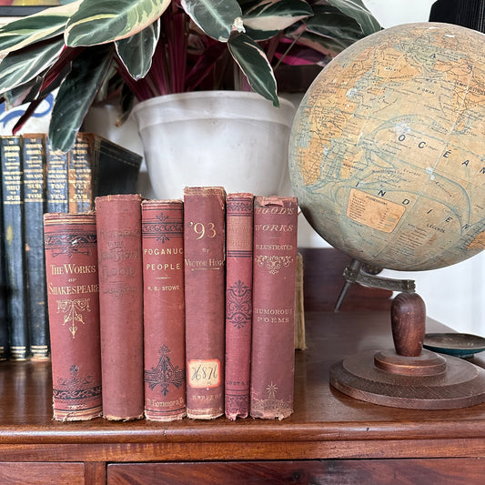 Set of 6 19th Century Books in Brown