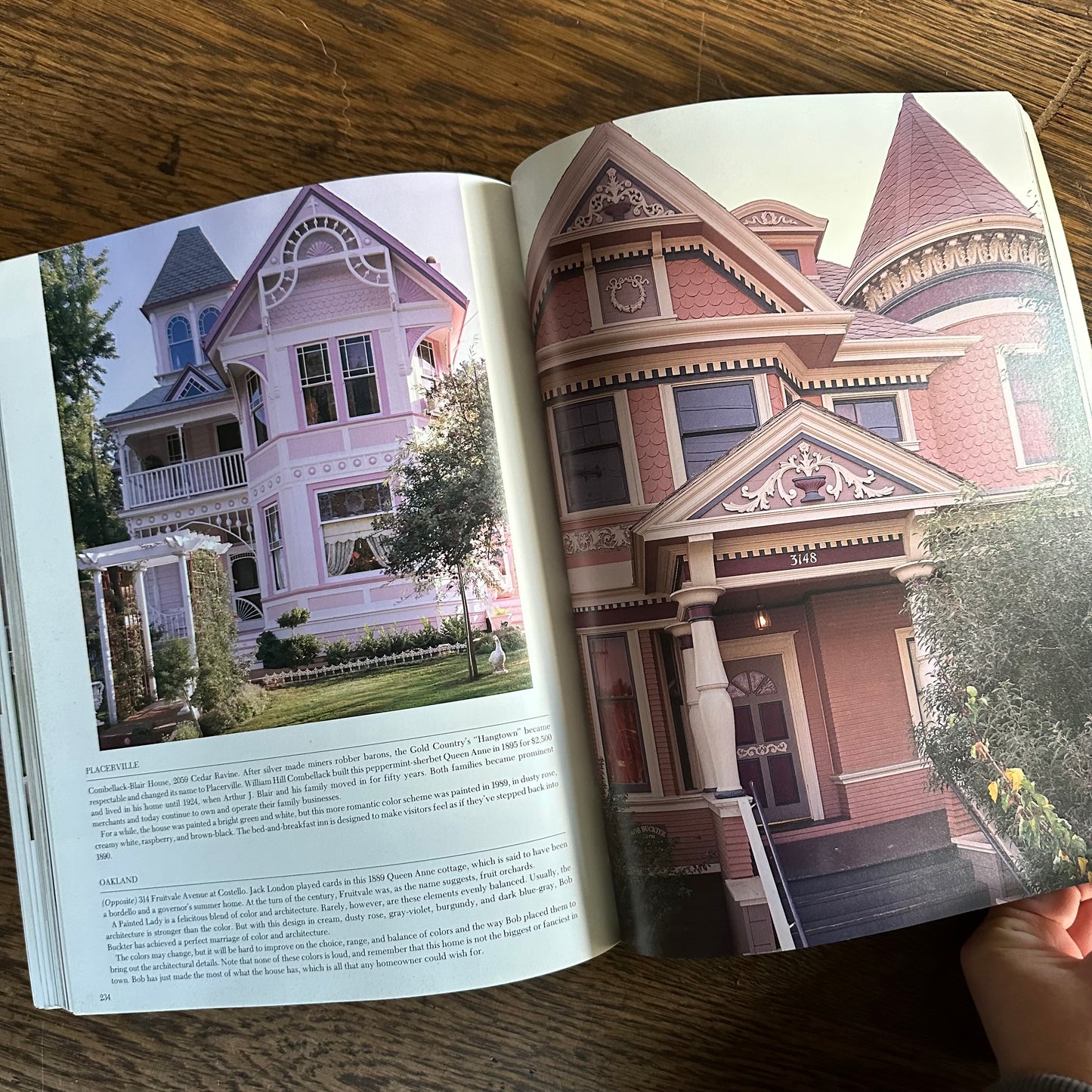 America’s Painted Ladies, 1992