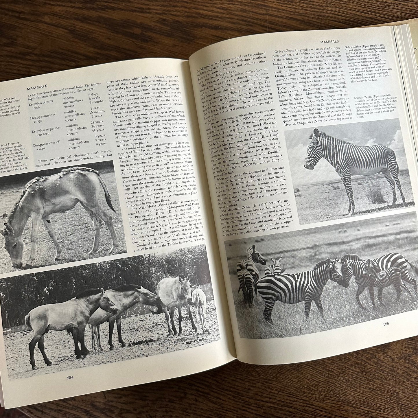 The Larousse Encyclopedia of Animal Life - 1967