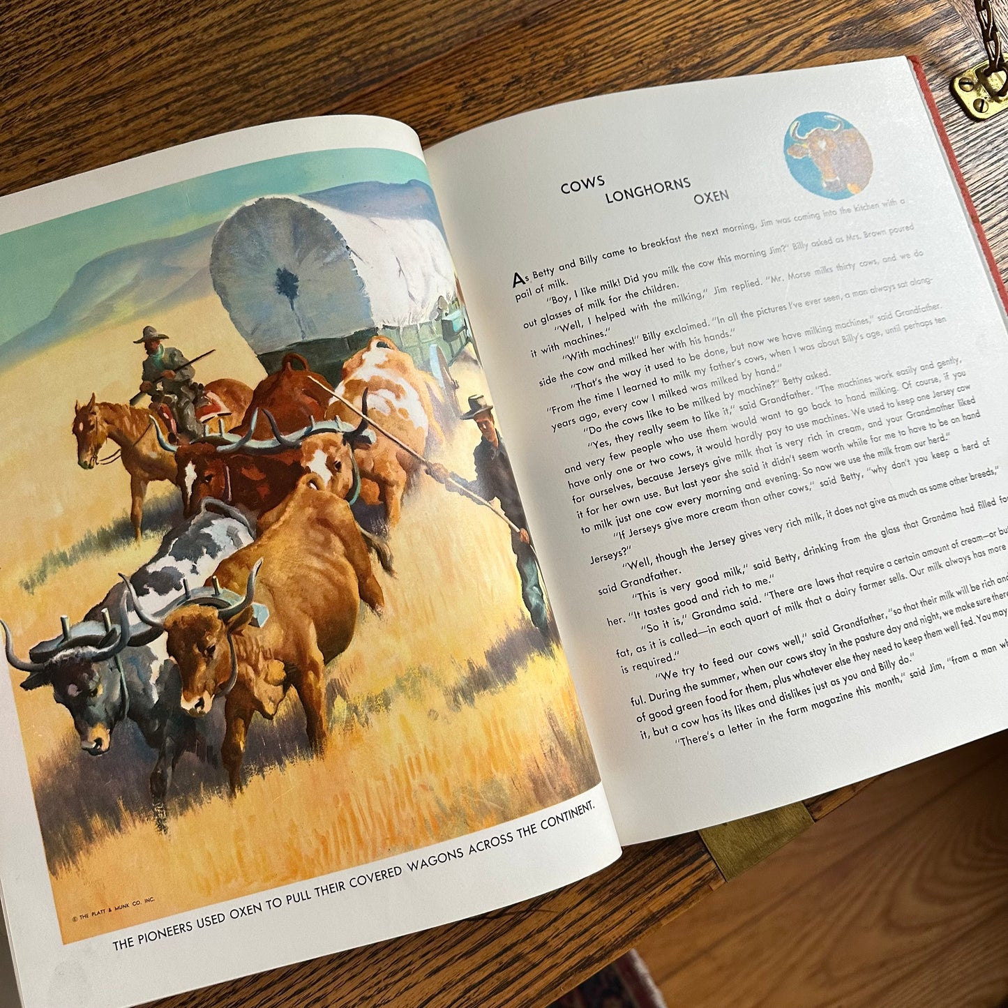 Animal Story Book - 1954