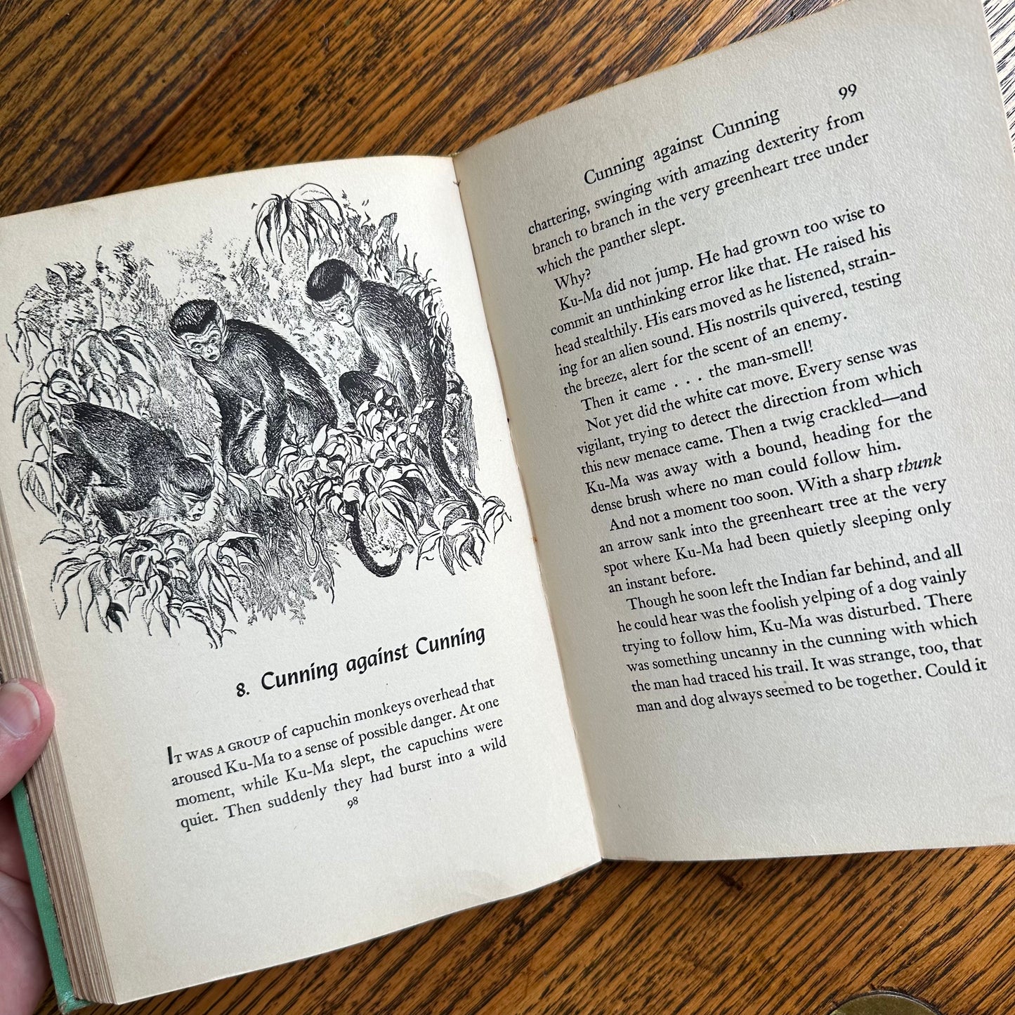 A Stack of 9 Vintage Illustrated Books for Kids