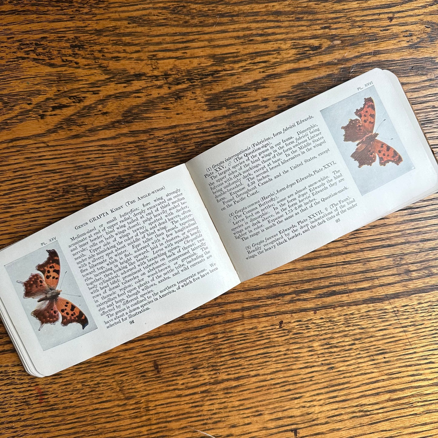 A Set of 3 Leather-Bound Pocket Nature Guides - 1916