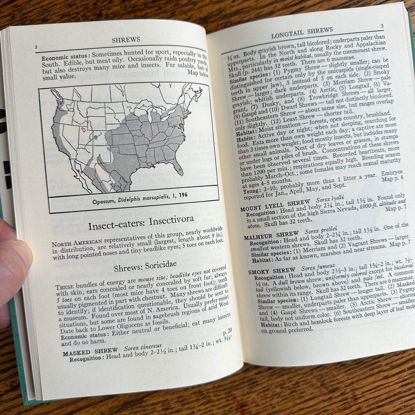 A Collection of 13 Vintage Peterson Field Guides!