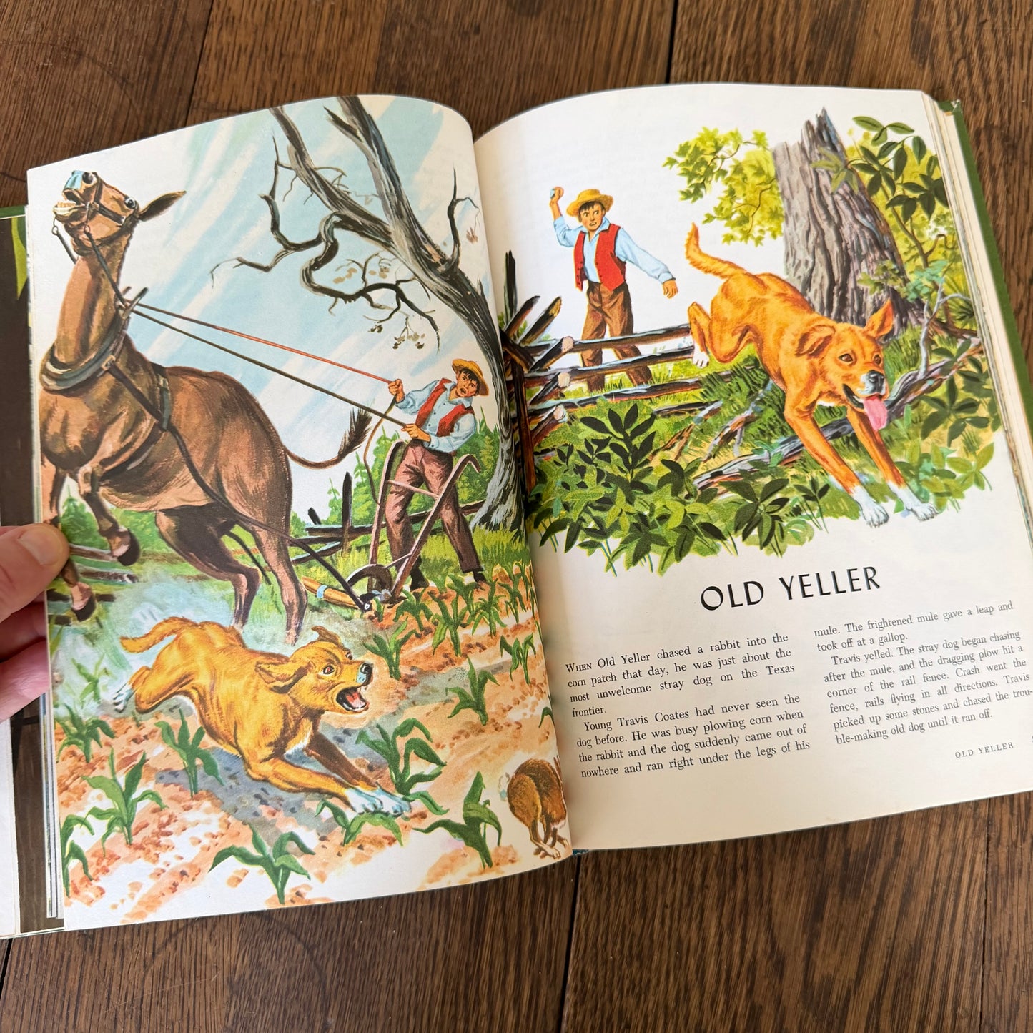 The Wonderful Worlds of Walt Disney: America 1965 Golden Press | Vintage Disney Illustrated Book 256 Pages Americana Travel Story Art Book